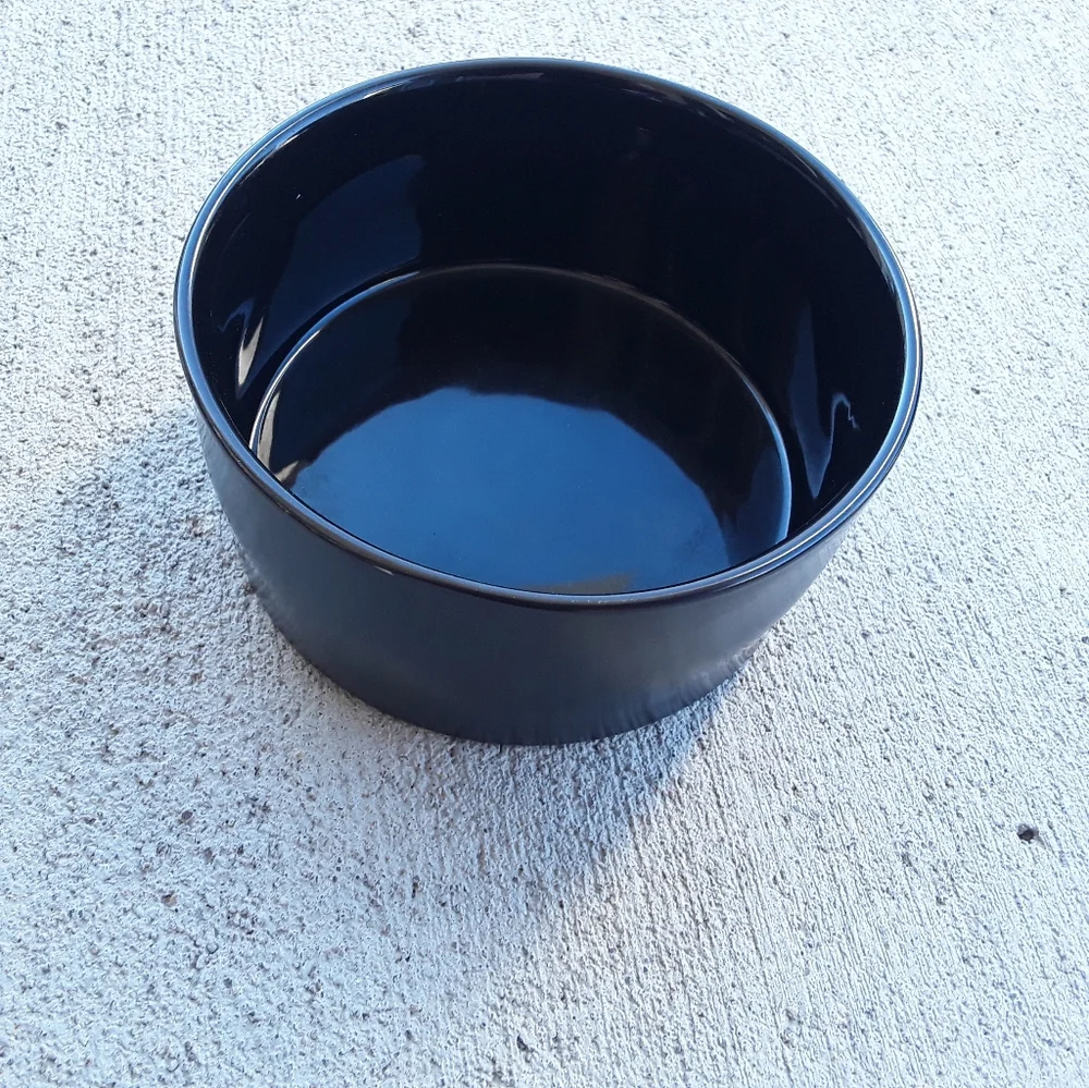 Rae Dunn Scary Cute Pet Bowl